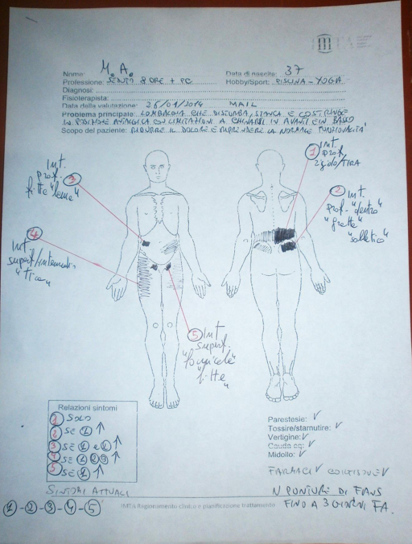 body chart